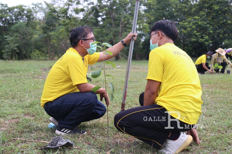 20210526-Tree planting dayt-011.jpg